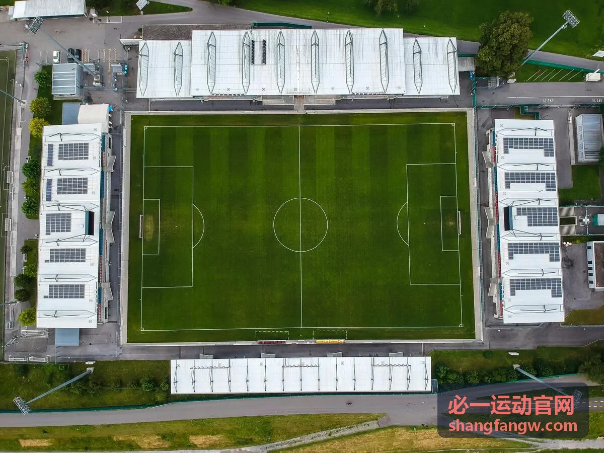 必一运动案例